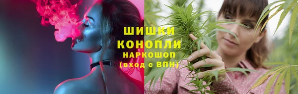 крисы Верея