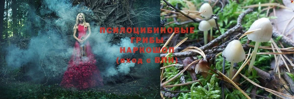 стафф Волосово