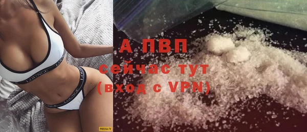 крисы Верея
